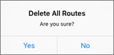Delet All Routes Prompt